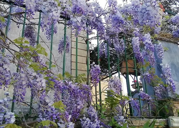 Manasse Villa